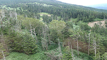 p9011235_thumb.jpg