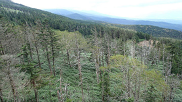 p9011236_thumb.jpg