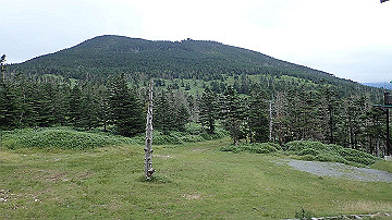 p9011241_thumb.jpg