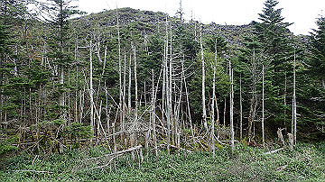 p9011245_thumb.jpg