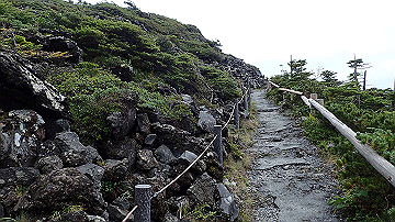 p9011247_thumb.jpg