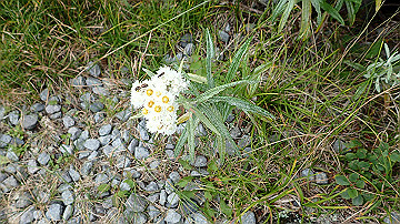 p9011257_thumb.jpg
