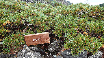 p9011258_thumb.jpg
