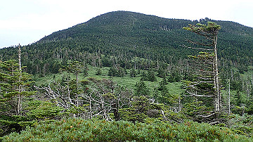 p9011260_thumb.jpg