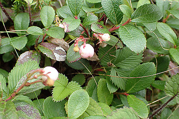 p9011263_thumb.jpg