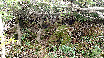 p9011270_thumb.jpg