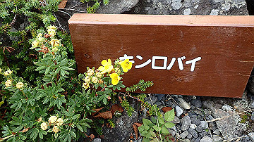 p9011272_thumb.jpg