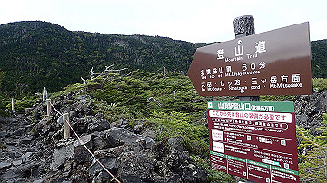 p9011275_thumb.jpg