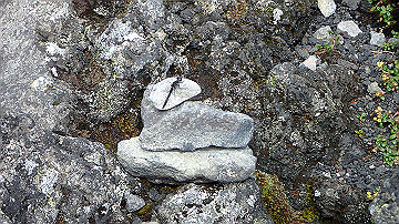 p9011278_thumb.jpg