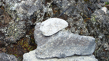 p9011279_thumb.jpg