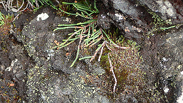p9011280_thumb.jpg