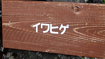 p9011281_thumb.jpg