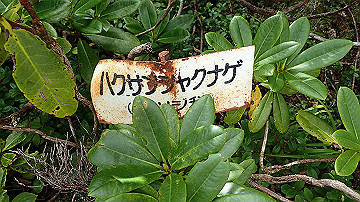 p9011284_thumb.jpg