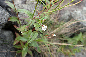 p9011289_thumb.jpg