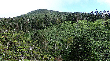 p9011291_thumb.jpg