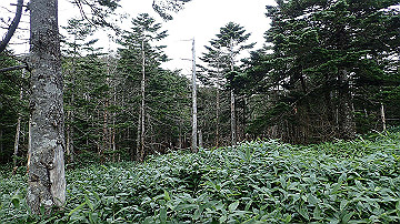p9011292_thumb.jpg