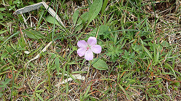 p9011293_thumb.jpg