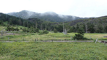 p9011294_thumb.jpg