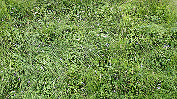 p9011295_thumb.jpg