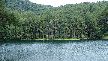 p9011327_thumb.jpg