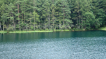 p9011335_thumb.jpg