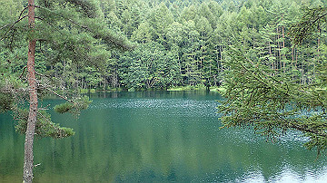 p9011336_thumb.jpg