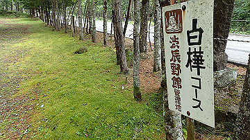 p9021378_thumb.jpg