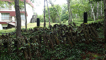 p9021381_thumb.jpg