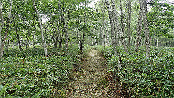 p9021383_thumb.jpg