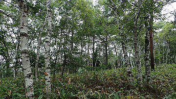 p9021384_thumb.jpg