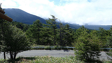 p9021387_thumb.jpg