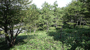 p9021389_thumb.jpg