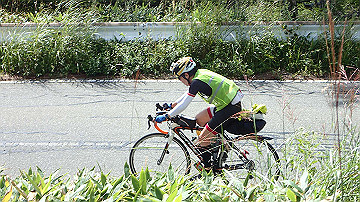 p9021391_thumb.jpg