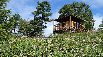p9021392_thumb.jpg