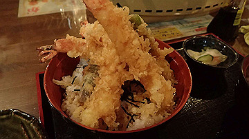 p9021432_thumb.jpg