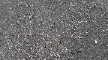 p9031436_thumb.jpg