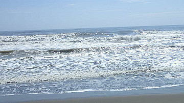 p9031447_thumb.jpg