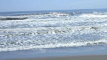p9031448_x264.mp4_thumb.jpg