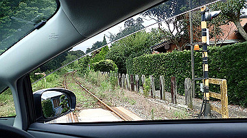 p9031453_thumb.jpg