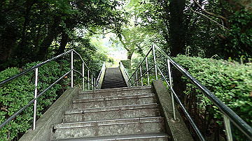 p9041503_thumb.jpg
