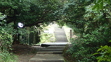 p9041526_thumb.jpg