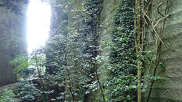 p9041531_thumb.jpg