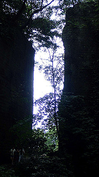 p9041532_thumb.jpg
