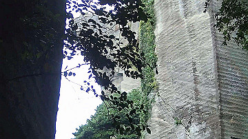 p9041534_x264.mp4_thumb.jpg