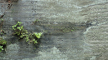 p9041541_thumb.jpg