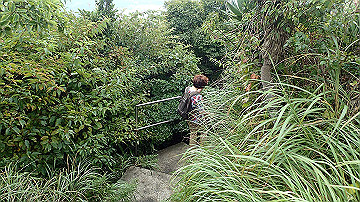 p9041566_thumb.jpg