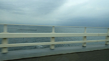 p9041584_thumb.jpg