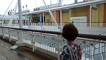 p9041594_thumb.jpg