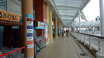 p9041595_thumb.jpg