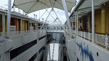 p9041596_thumb.jpg